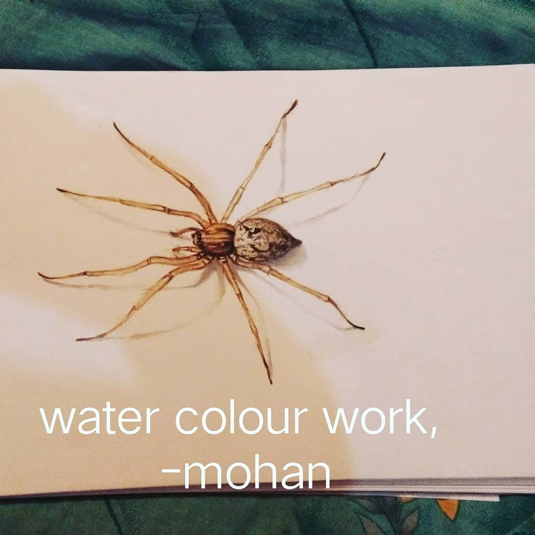 Fine Art — Graphite